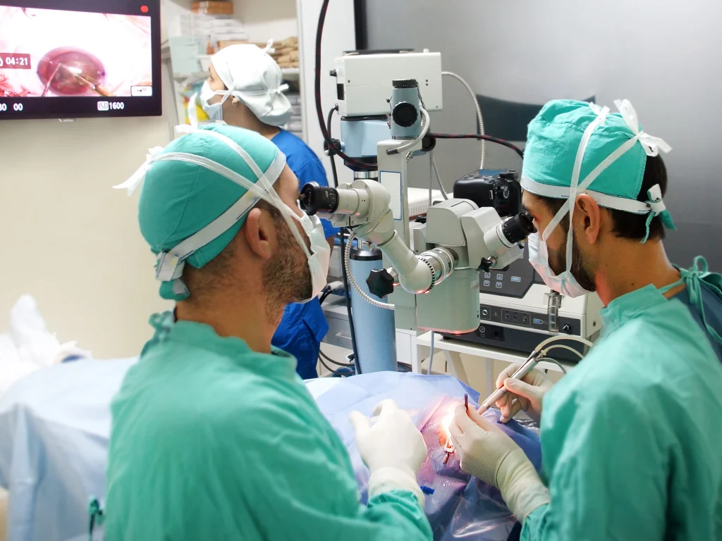 Microsurgery Training Program 3