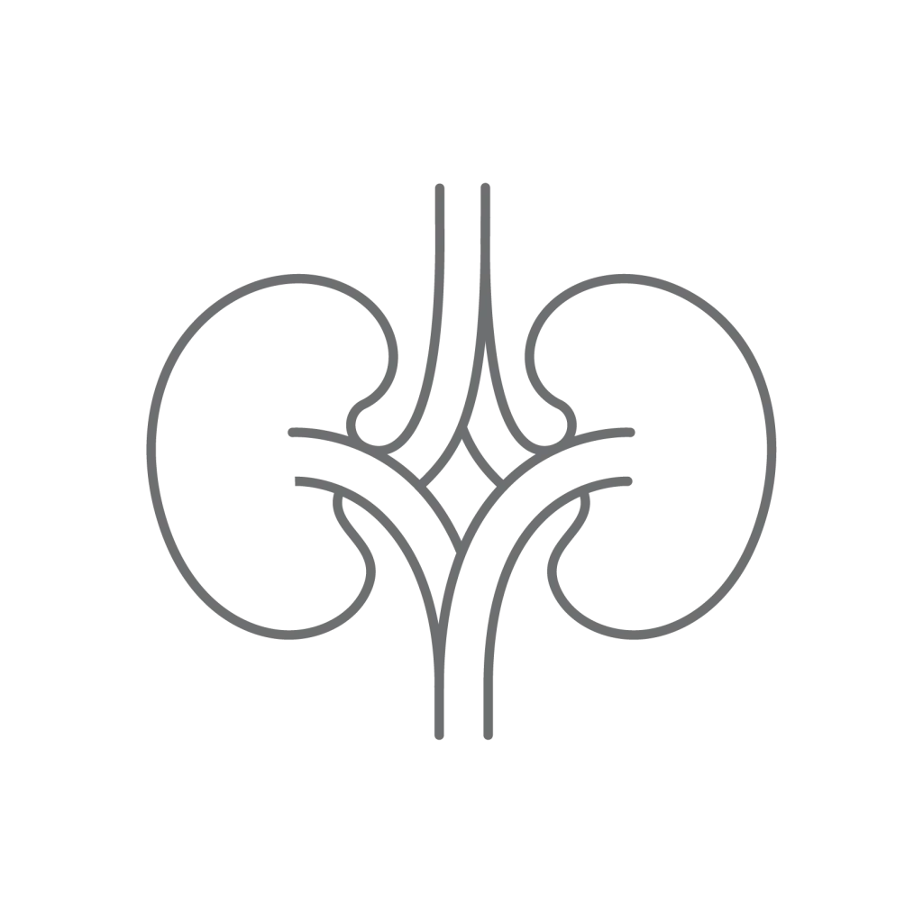 طب الكلى 37 Nephorology