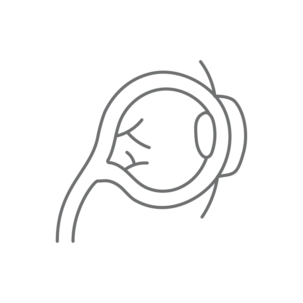 طب العيون 16 Ophthalmology