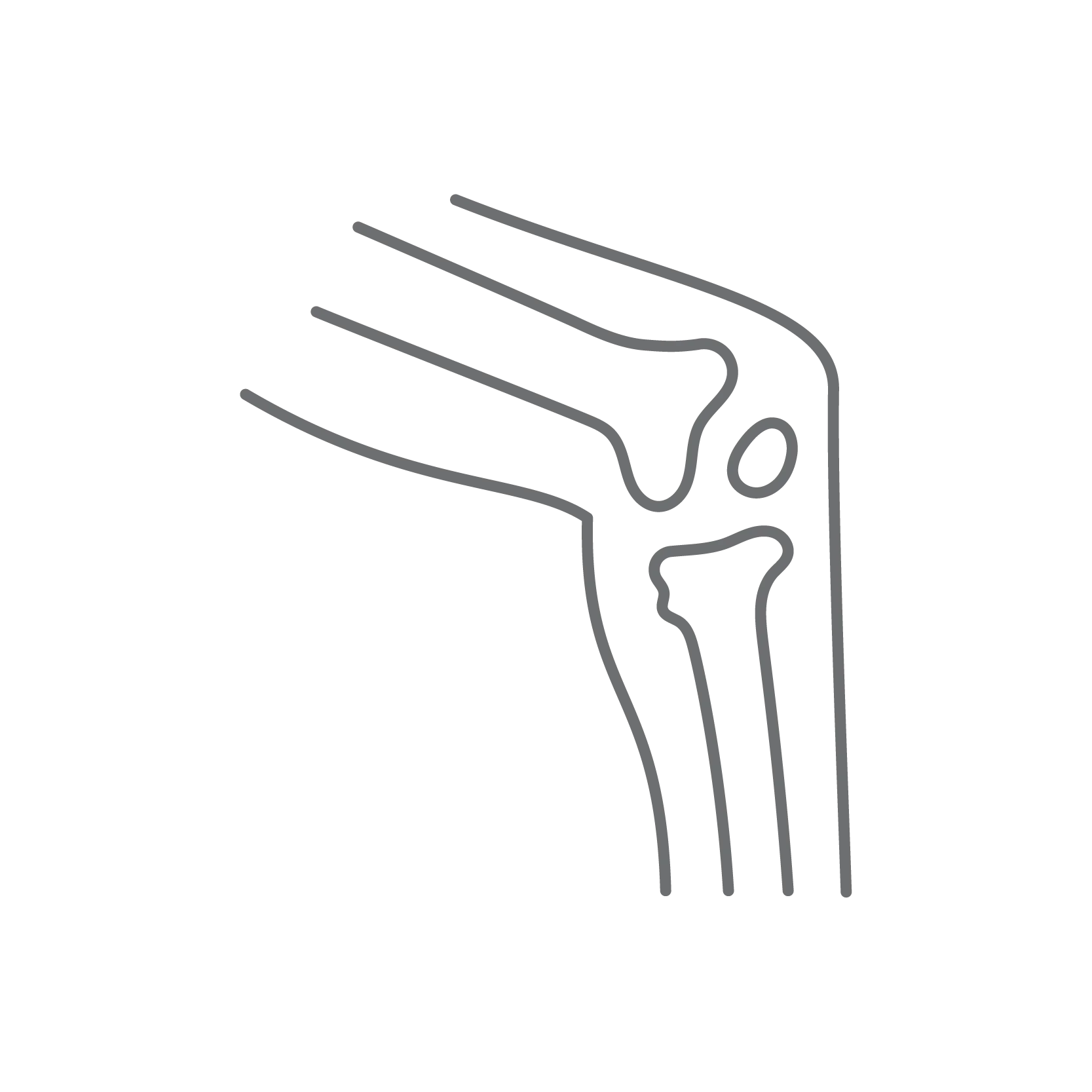Orthopedics and Traumatlogy