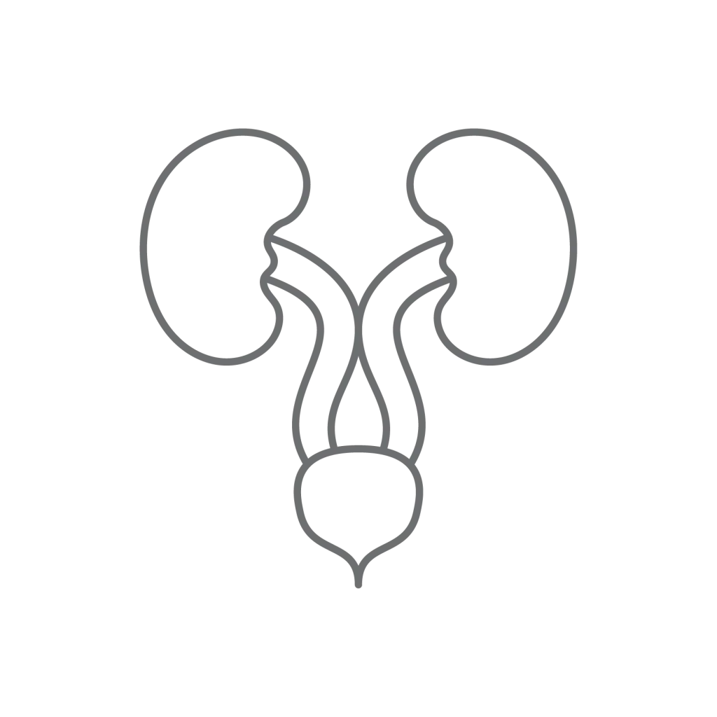 مركز جراحة المسالك البولية 24 Urology