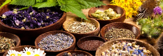 Personalized Treatment in Functional Medicine A Tailored Path to Healing