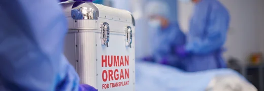 What Is Kidney Transplantation and How Is It Performed