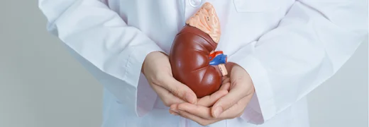 what is a kidney biopsy