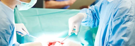 What Is Organ Transplantation A Comprehensive Guide