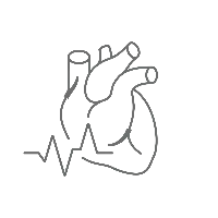 Kardiovaskuläre Chirurgie 96 Cardiovascular Surgery 200x200 1