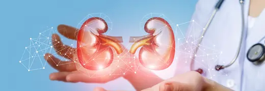 Chronic Kidney Disease CKD Diagnosis Treatment and Kidney Care in Turkey medicalpoint international hospital
