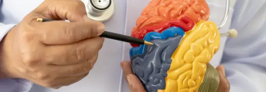 Epilepsy and Seizure Management Diagnosis Treatment Options and Long Term Care Strategies medicalpoint international hospital