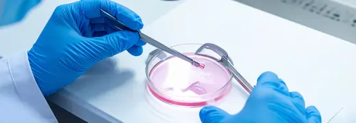 Life During and After IVF Treatment What Patients Should Know