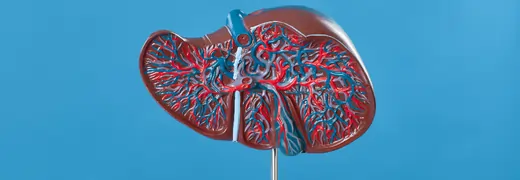 Living with Kidney Failure Understanding the Condition Treatment Options and How to Maintain Your Quality of Life